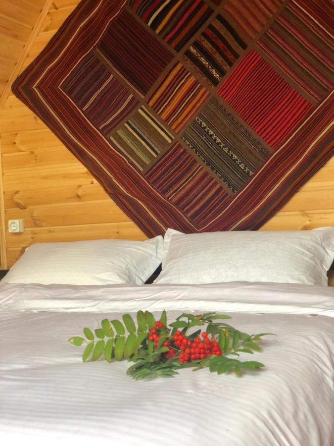 Kazbegi Kuro Cottages エクステリア 写真